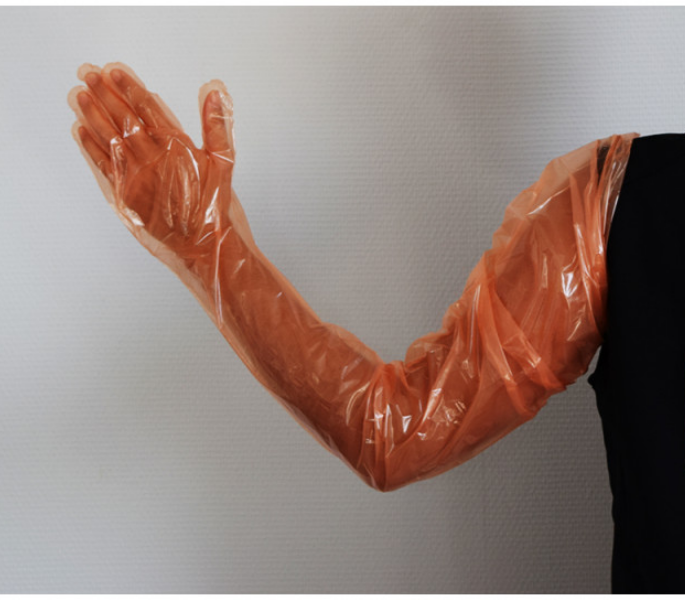 GANT DE FOUILLE POUR GYNECO 